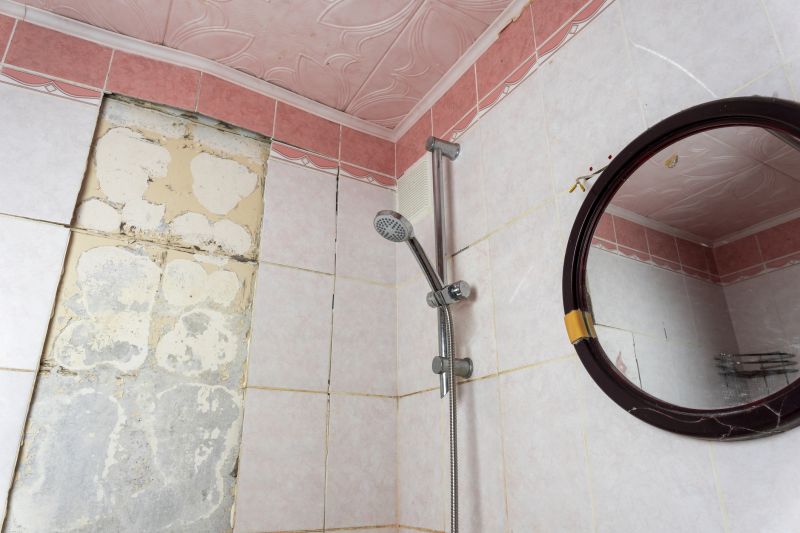 Top Shower Remodeling Companies in Westminster, CO